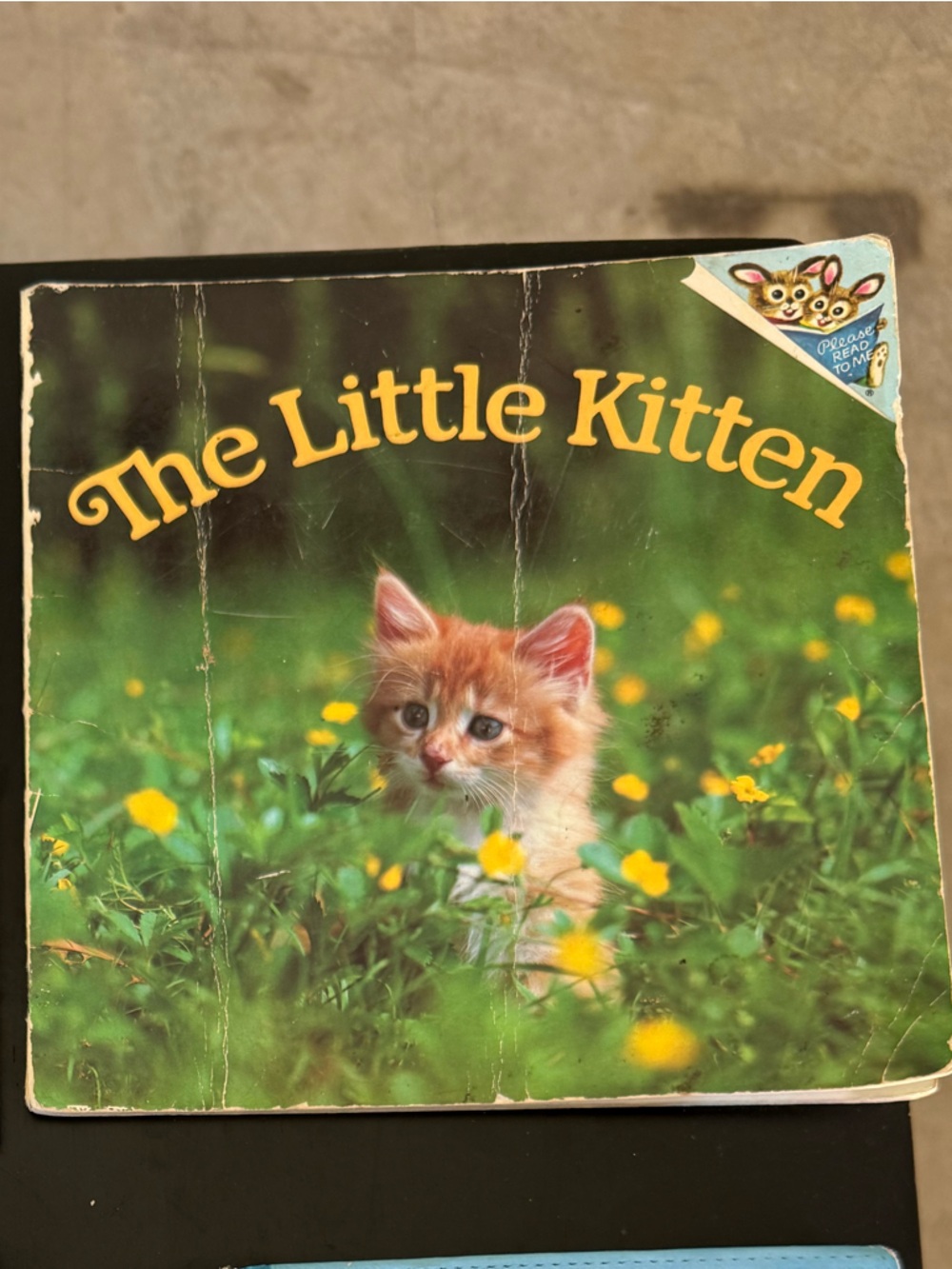 The Little Kitten - Orange Kitten Small Pets Book
